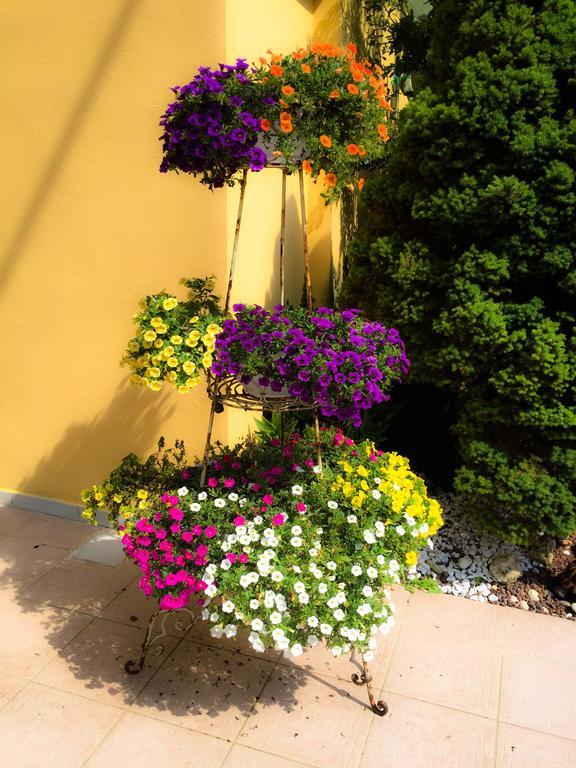 Le Pinette Ameglia Exterior foto