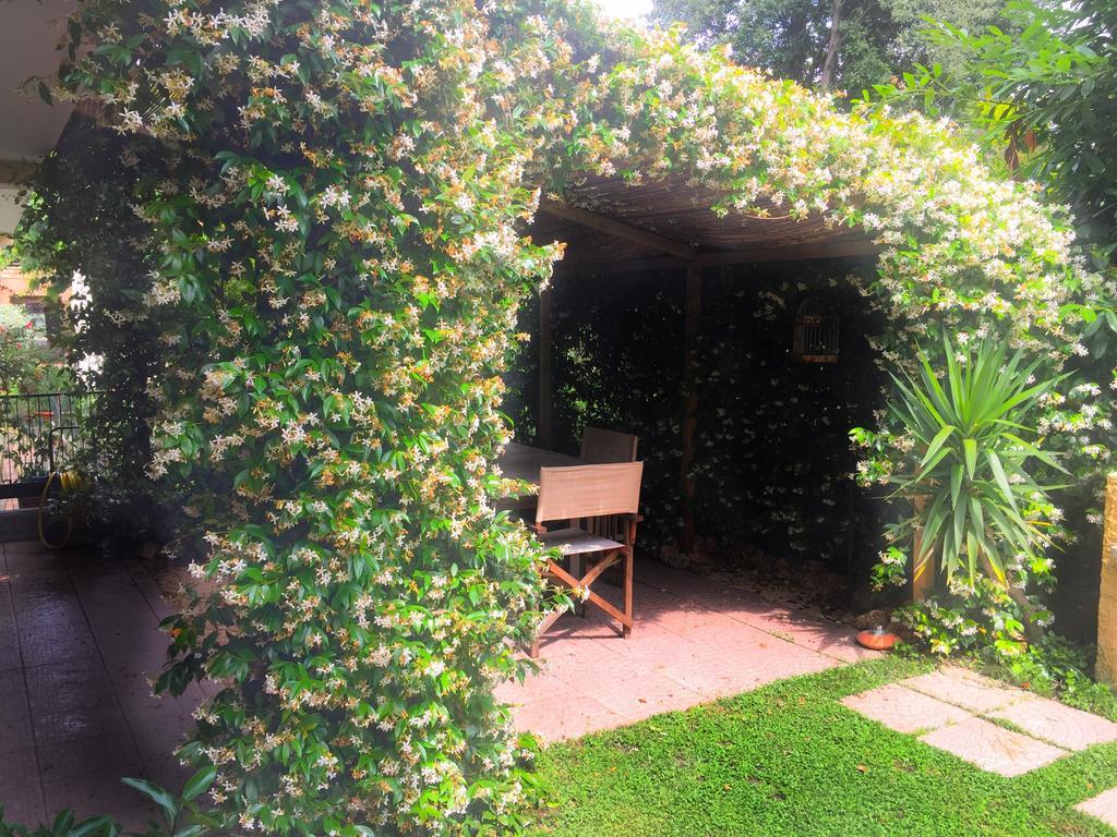 Le Pinette Ameglia Exterior foto