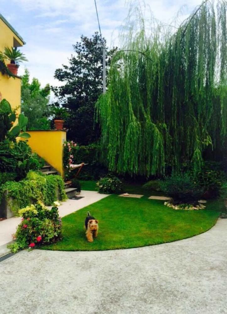 Le Pinette Ameglia Exterior foto